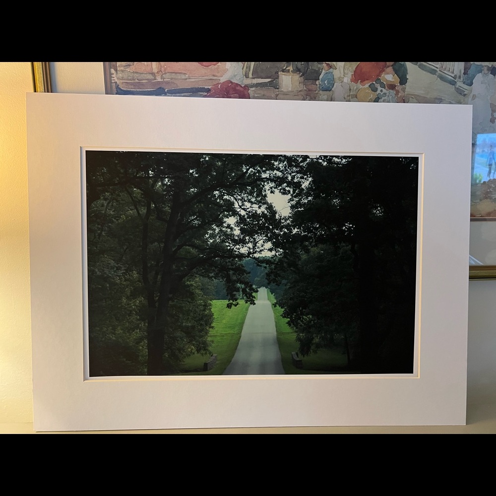 Photographic print